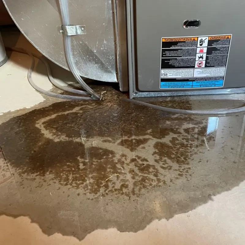 Pipe Burst and Leak Restoration in North Brookfield, MA