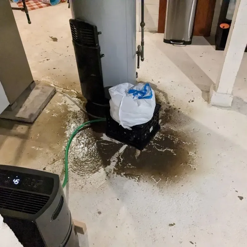Sewage Backup Cleanup Service in North Brookfield, MA